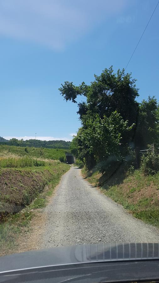 Buio Pesto B&B Ceparana Exterior photo